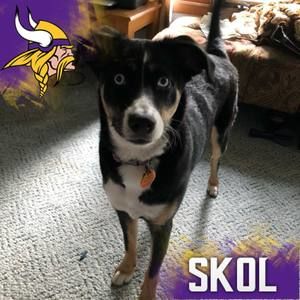 Meet your Posher, Janell